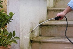 TECHNICIDE PLUS CONCENTRÉ : Antimousse pour traiter les murs contre les taches vertes