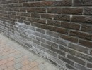 presence salpetre mur briques nouvelle construction