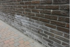 presence salpetre mur briques nouvelle construction