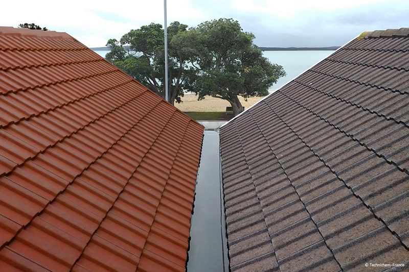 Détergent spécial toiture pour la rénovation des toitures en tuiles béton