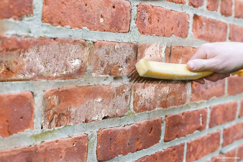 Comment enlever salpêtre sur mur en briques