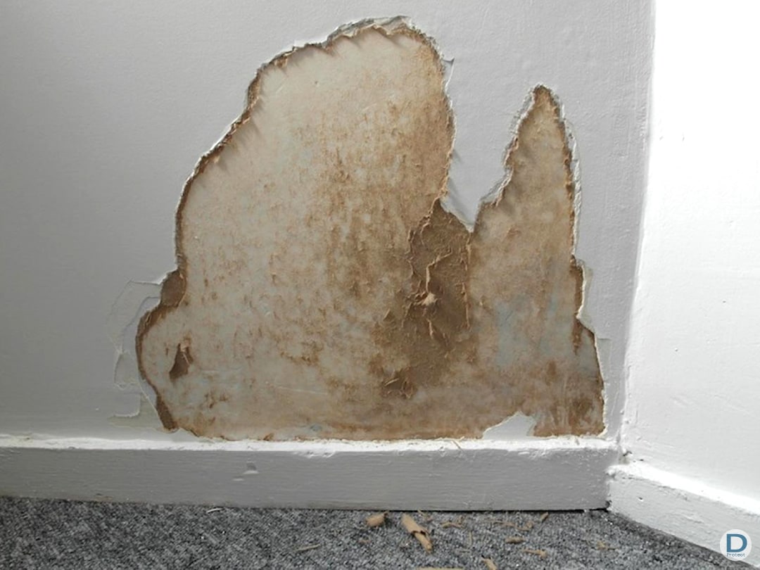 entreprise maitrise humidité ascensionnelle enduit plafonnage tombe du mur liège brabant wallon