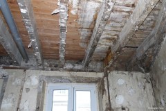 presence champignon merule bois mur pendant renovation batiment